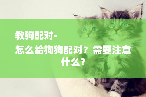 教狗配對-
怎么給狗狗配對？需要注意什么？
