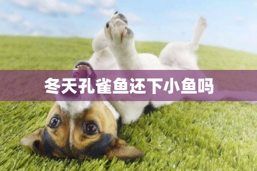 冬天孔雀魚還下小魚嗎