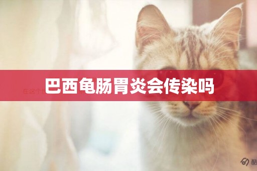 巴西龜腸胃炎會傳染嗎