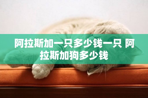 阿拉斯加一只多少錢一只 阿拉斯加狗多少錢