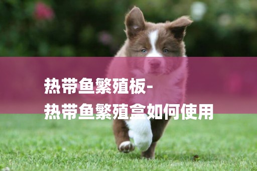 熱帶魚繁殖板-
熱帶魚繁殖盒如何使用