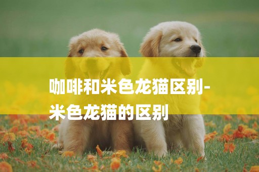 咖啡和米色龍貓區別-
米色龍貓的區別