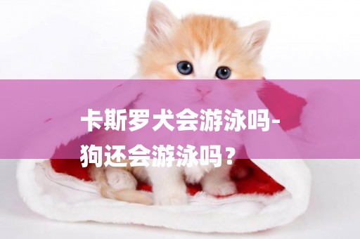 卡斯羅犬會游泳嗎-
狗還會游泳嗎？