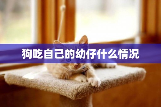 狗吃自己的幼仔什么情況