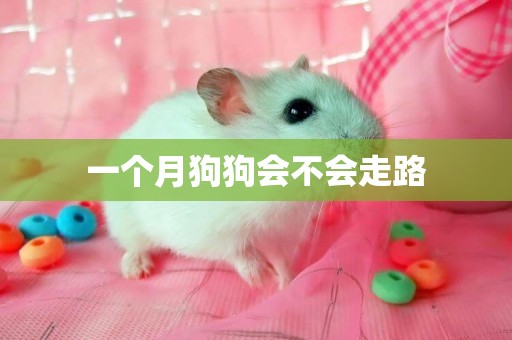 一個月狗狗會不會走路