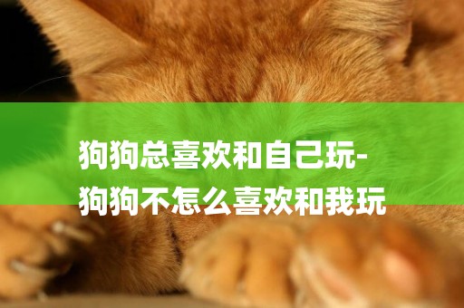 狗狗總喜歡和自己玩-
狗狗不怎么喜歡和我玩