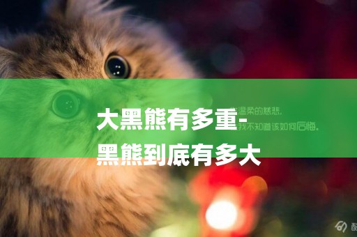 大黑熊有多重-
黑熊到底有多大