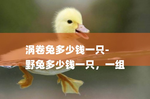 渦卷兔多少錢一只-
野兔多少錢一只，一組