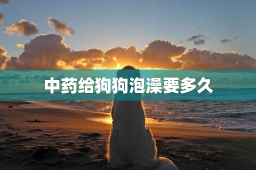 中藥給狗狗泡澡要多久