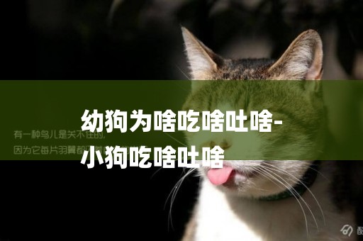 幼狗為啥吃啥吐啥-
小狗吃啥吐啥