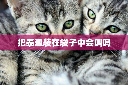 把泰迪裝在袋子中會叫嗎