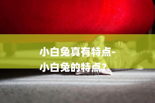 小白兔真有特點-
小白兔的特點？