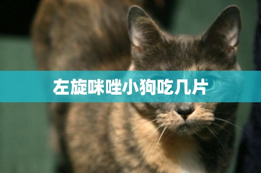 左旋咪唑小狗吃幾片
