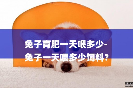 兔子育肥一天喂多少-
兔子一天喂多少飼料？