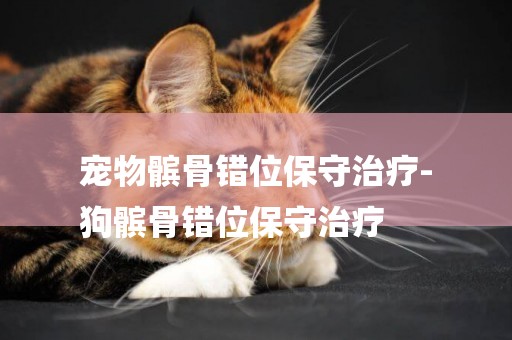 寵物髕骨錯位保守治療-
狗髕骨錯位保守治療