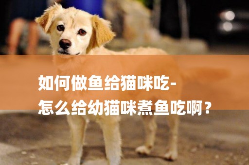 如何做魚給貓咪吃-
怎么給幼貓咪煮魚吃啊？