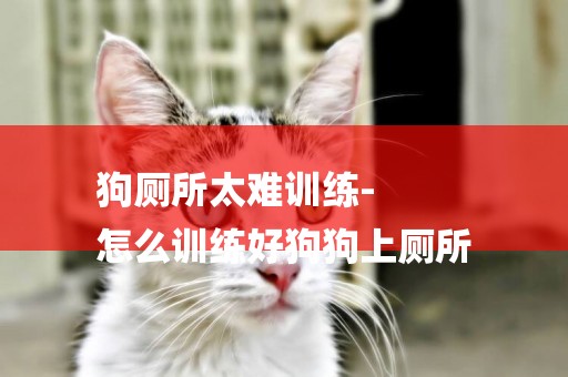狗廁所太難訓練-
怎么訓練好狗狗上廁所