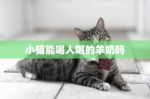 小貓能喝人喝的羊奶嗎