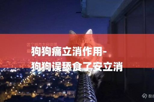 狗狗痛立消作用-
狗狗誤舔食了安立消