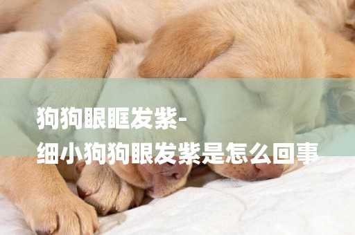 狗狗眼眶發紫-
細小狗狗眼發紫是怎么回事