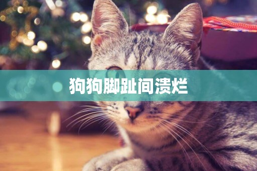 狗狗腳趾間潰爛