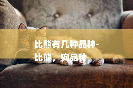 比熊有幾種品種-
比熊，狗品種