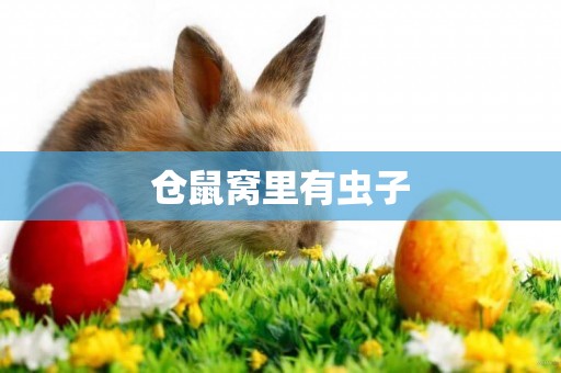 倉鼠窩里有蟲子