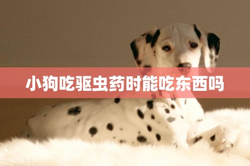 小狗吃驅蟲藥時能吃東西嗎