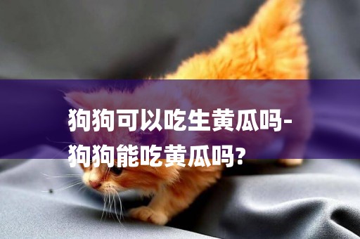 狗狗可以吃生黃瓜嗎-
狗狗能吃黃瓜嗎?
