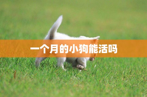 一個月的小狗能活嗎