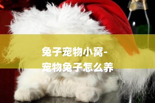 兔子寵物小窩-
寵物兔子怎么養