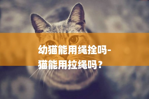 幼貓能用繩拴嗎-
貓能用拉繩嗎？