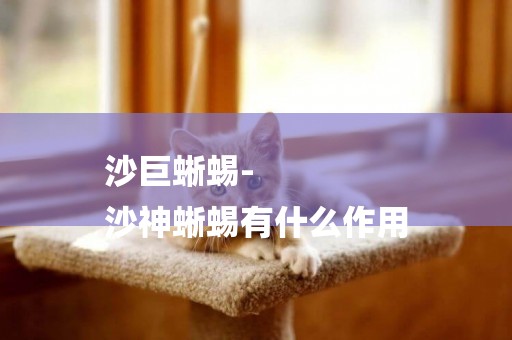 沙巨蜥蜴-
沙神蜥蜴有什么作用