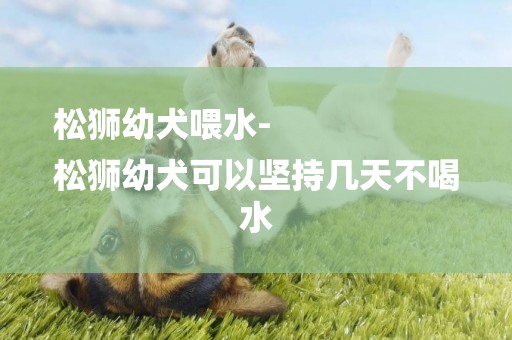 松獅幼犬喂水-
松獅幼犬可以堅持幾天不喝水