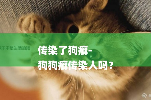 傳染了狗癬-
狗狗癬傳染人嗎？