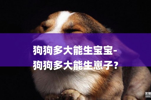 狗狗多大能生寶寶-
狗狗多大能生崽子？