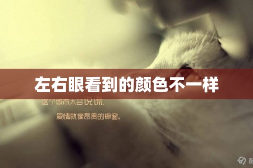 左右眼看到的顏色不一樣
