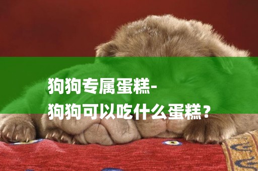 狗狗專屬蛋糕-
狗狗可以吃什么蛋糕？