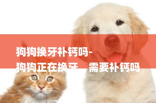狗狗換牙補鈣嗎-
狗狗正在換牙，需要補鈣嗎