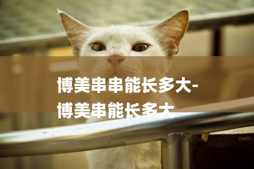 博美串串能長多大-
博美串能長多大