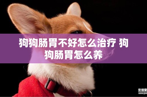 狗狗腸胃不好怎么治療 狗狗腸胃怎么養