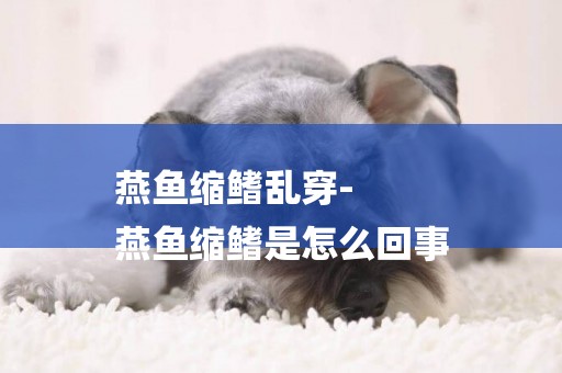 燕魚縮鰭亂穿-
燕魚縮鰭是怎么回事