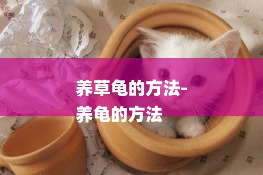 養草龜的方法-
養龜的方法