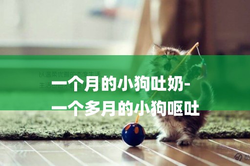 一個月的小狗吐奶-
一個多月的小狗嘔吐