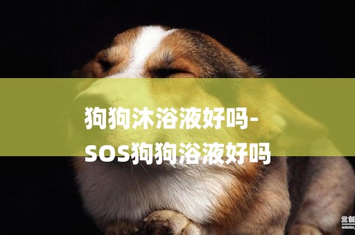 狗狗沐浴液好嗎-
SOS狗狗浴液好嗎