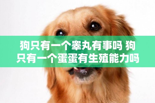 狗只有一個睪丸有事嗎 狗只有一個蛋蛋有生殖能力嗎