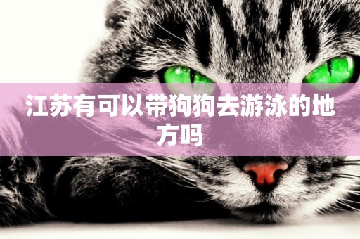 江蘇有可以帶狗狗去游泳的地方嗎