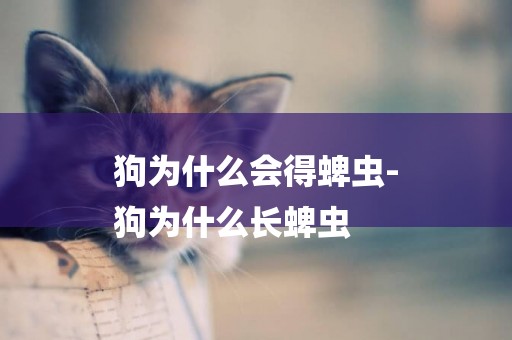 狗為什么會得蜱蟲-
狗為什么長蜱蟲