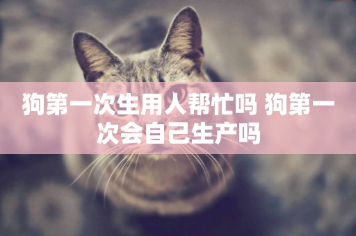 狗第一次生用人幫忙嗎 狗第一次會自己生產嗎