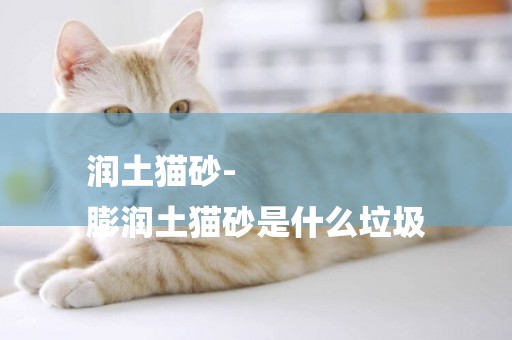 潤土貓砂-
膨潤土貓砂是什么垃圾
